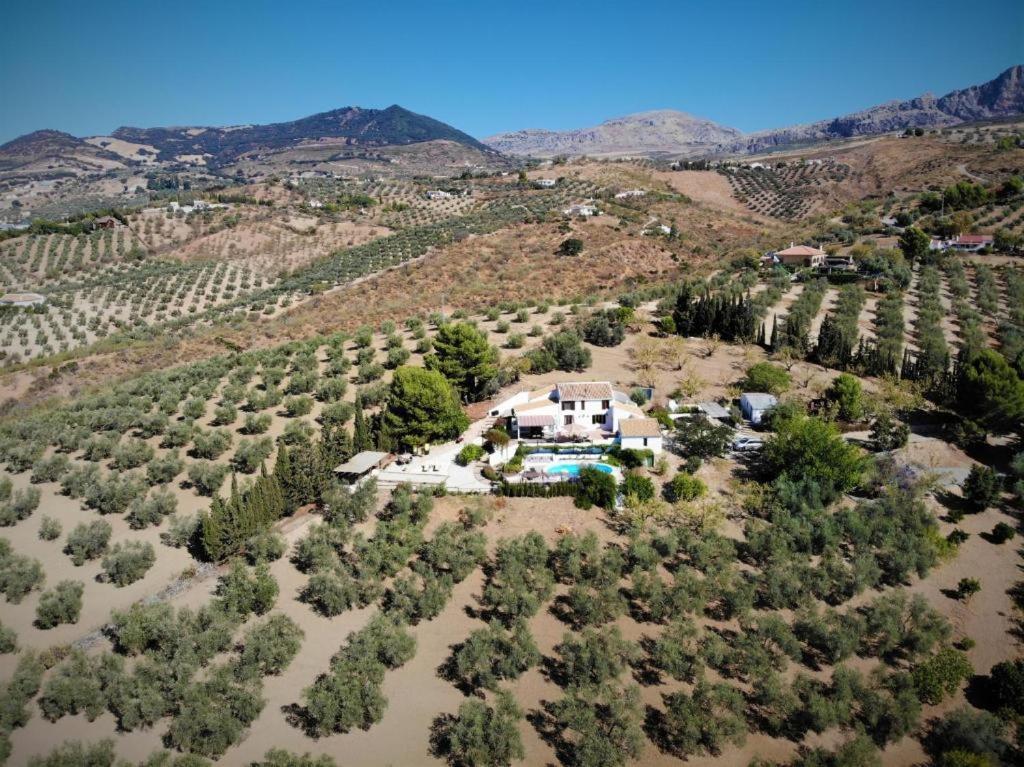 Finca Amorosa วิญานูเอวา เด ลา กอนเซปซิออน ภายนอก รูปภาพ
