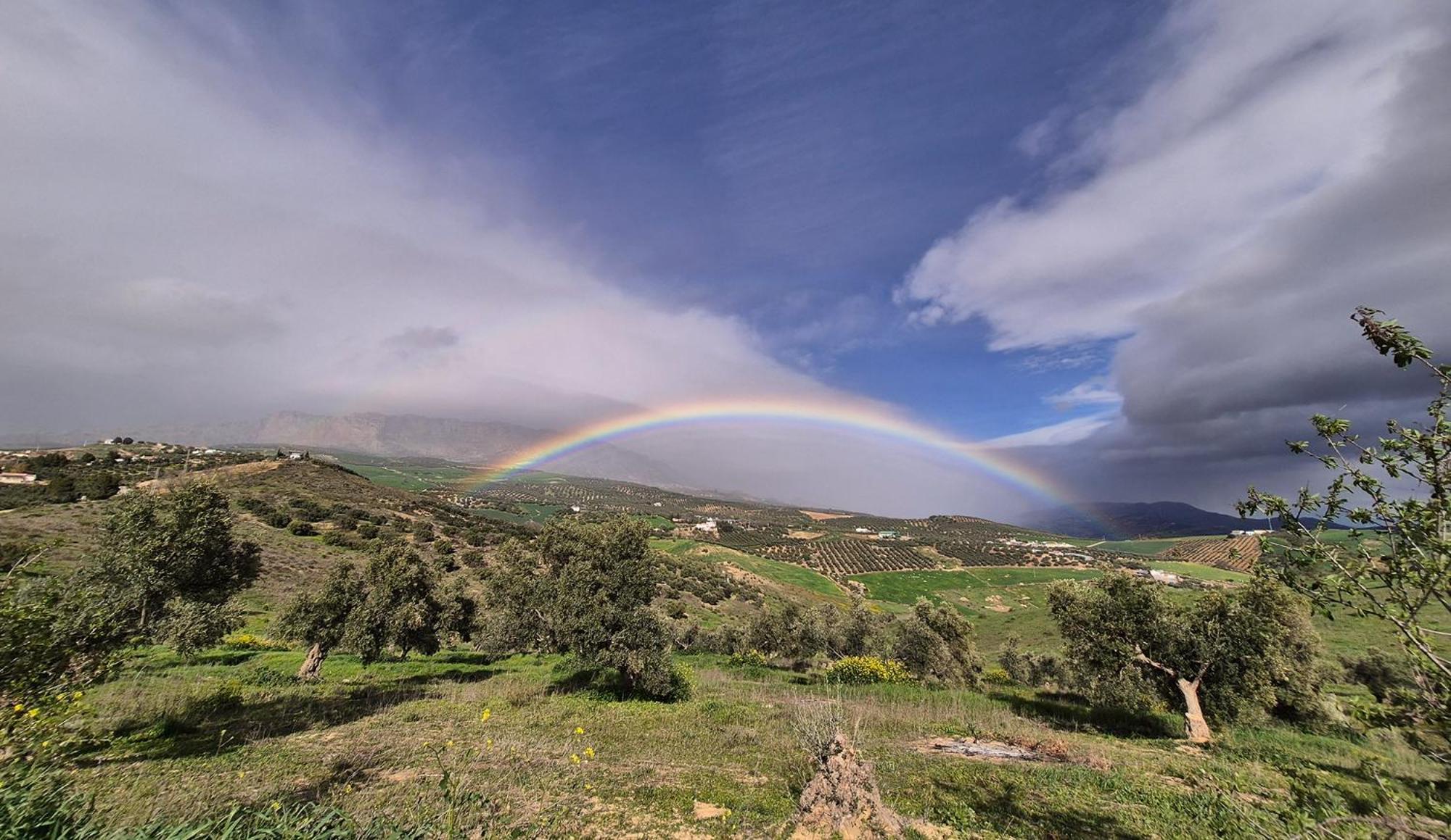 Finca Amorosa วิญานูเอวา เด ลา กอนเซปซิออน ภายนอก รูปภาพ